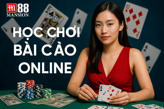 Những lưu ý cần nắm khi chơi bài cào online